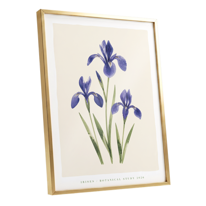 Indigo Iris Study, purple, green, beige floral wall art shown as a gold framed poster wall art print