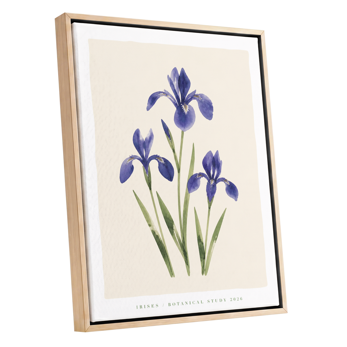 Indigo Iris Study, purple, green, beige floral wall art shown as a oak framed canvas wall art