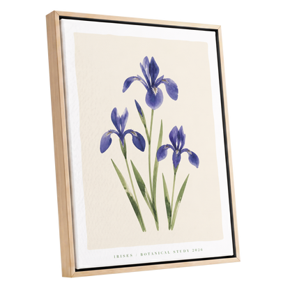 Indigo Iris Study, purple, green, beige floral wall art shown as a oak framed canvas wall art