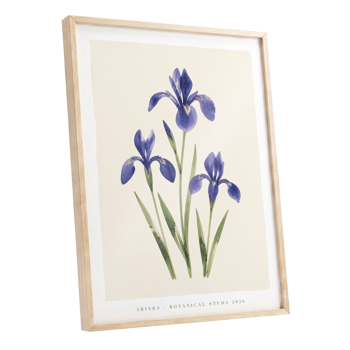 Indigo Iris Study, purple, green, beige floral wall art shown as a oak framed poster wall art print