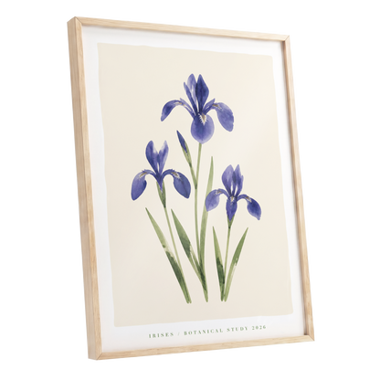 Indigo Iris Study, purple, green, beige floral wall art shown as a oak framed poster wall art print