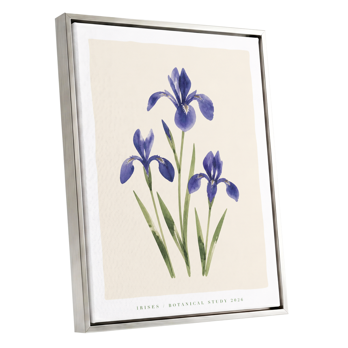 Indigo Iris Study, purple, green, beige floral wall art shown as a silver framed canvas wall art