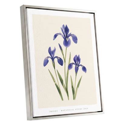 Indigo Iris Study, purple, green, beige floral wall art shown as a silver framed canvas wall art