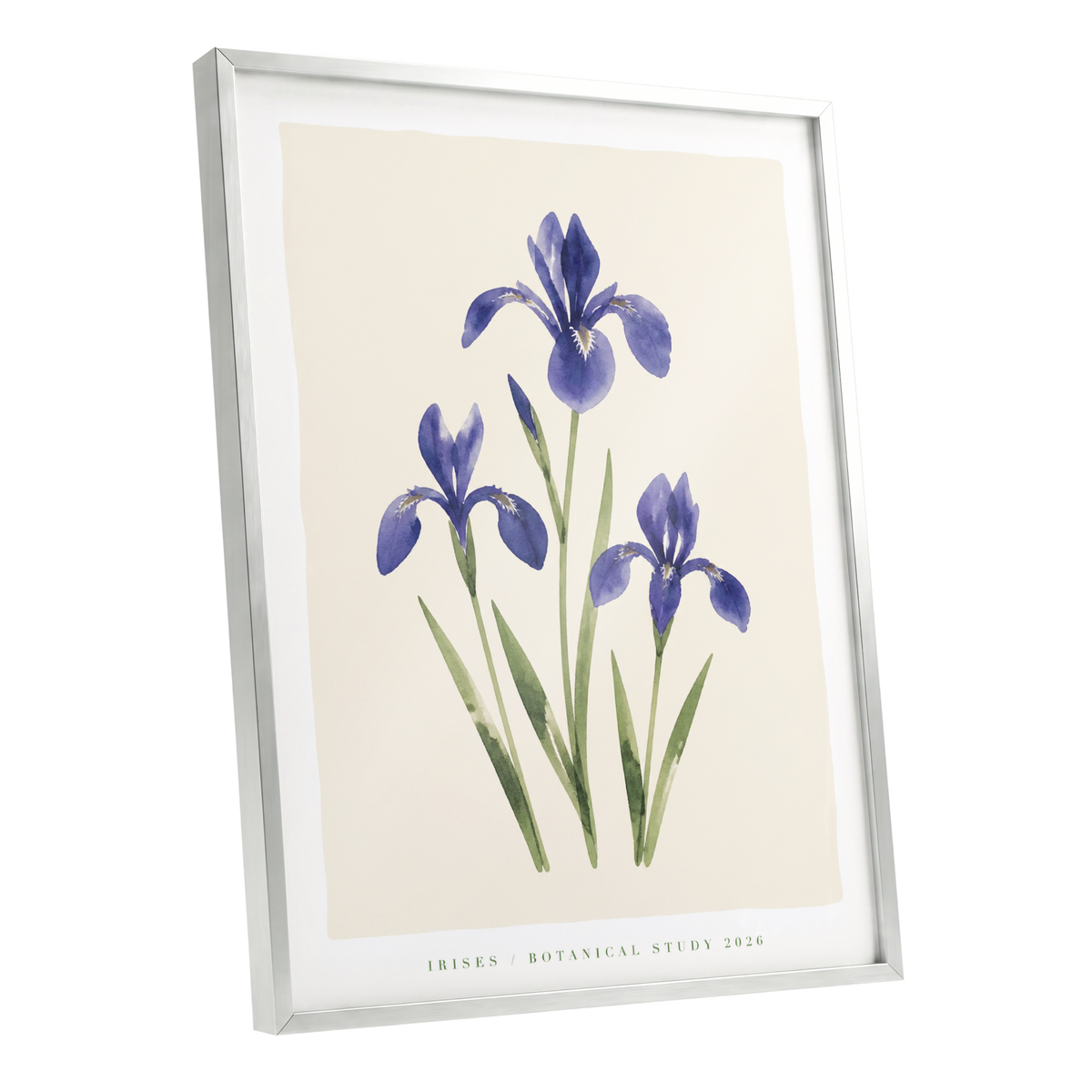 Indigo Iris Study, purple, green, beige floral wall art shown as a silver framed poster wall art print