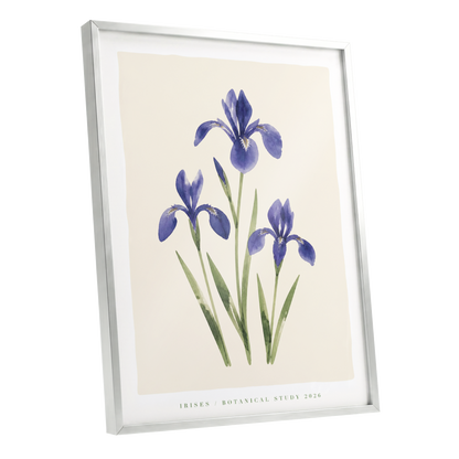Indigo Iris Study, purple, green, beige floral wall art shown as a silver framed poster wall art print