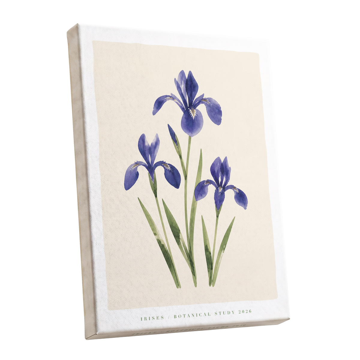 Indigo Iris Study, purple, green, beige floral wall art shown as a stretched canvas wall art