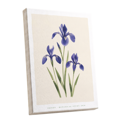 Indigo Iris Study, purple, green, beige floral wall art shown as a stretched canvas wall art
