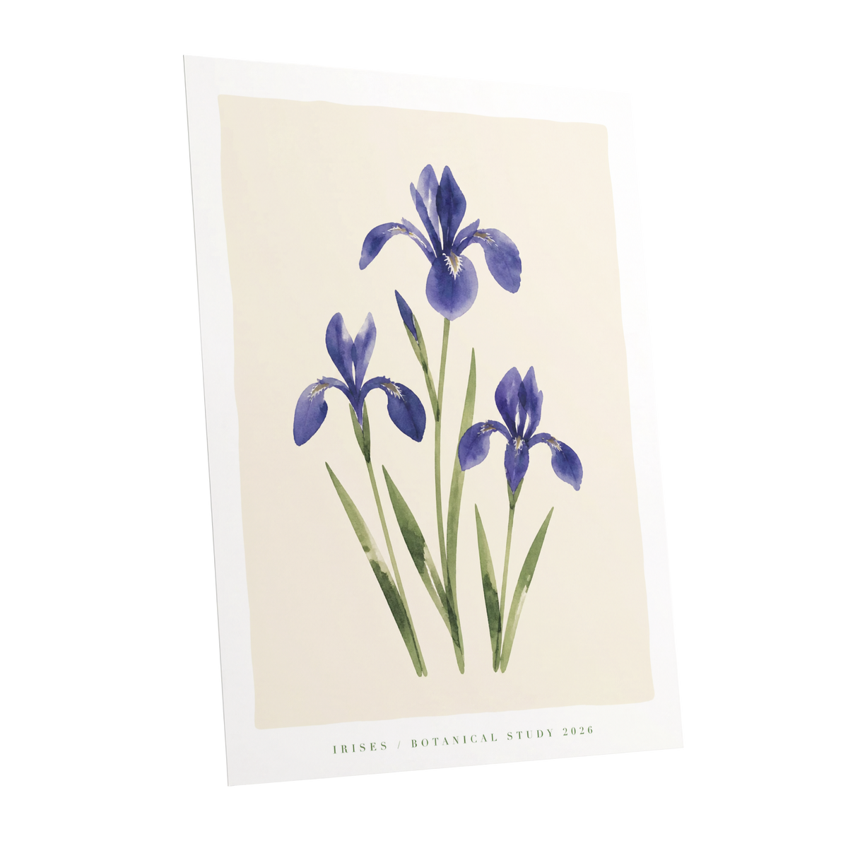 Indigo Iris Study, purple, green, beige floral wall art shown as a unframed poster wall art print