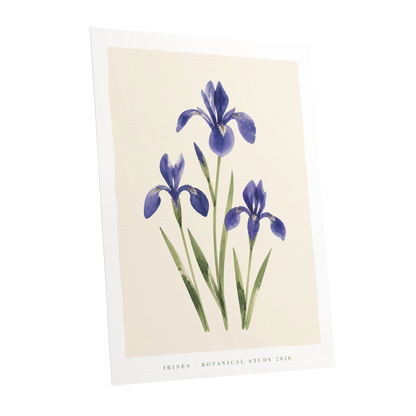 Indigo Iris Study, purple, green, beige floral wall art shown as a unframed poster wall art print