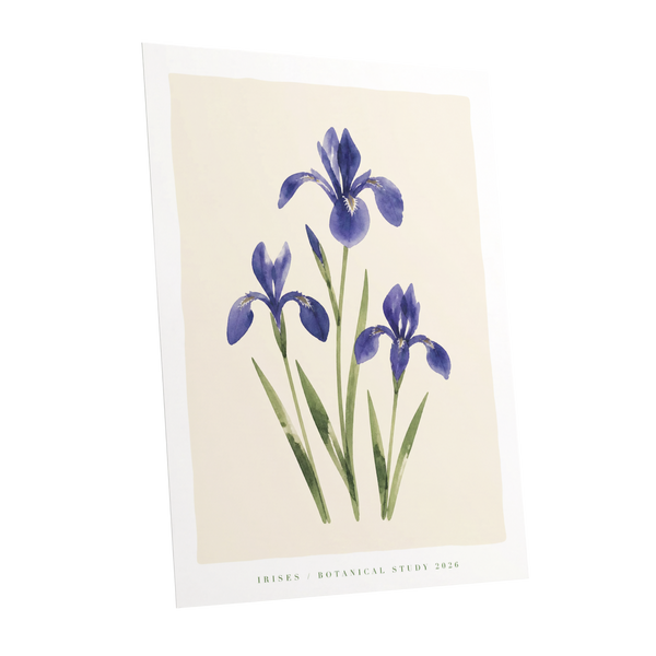 Indigo Iris Study, purple, green, beige floral wall art shown as a unframed poster wall art print