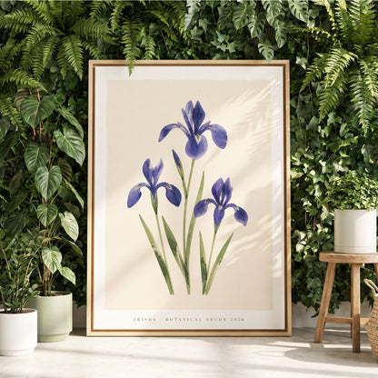 Indigo Iris Study, purple, green, beige floral wall art displayed in a styled interior, gallery view 1