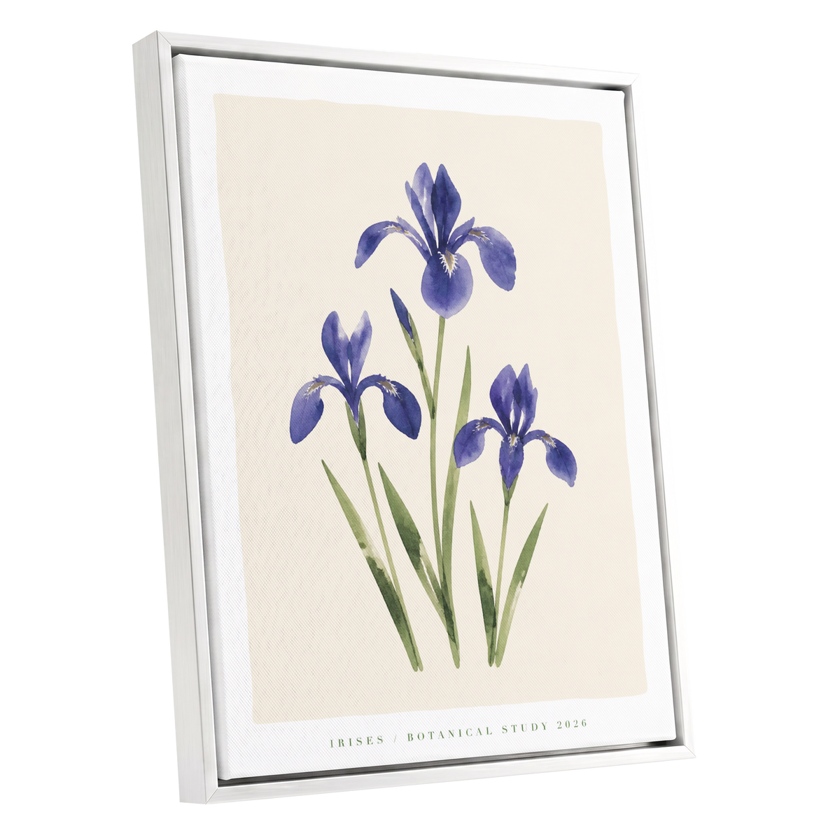 Indigo Iris Study, purple, green, beige floral wall art shown as a white framed canvas wall art