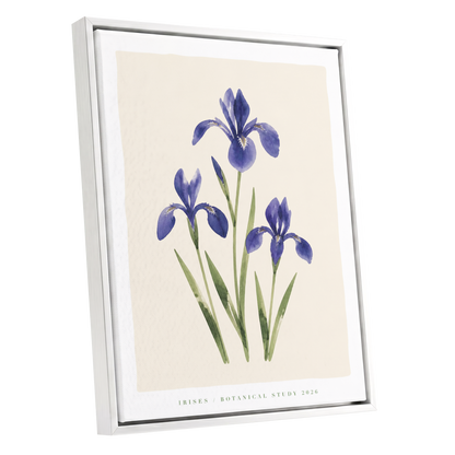 Indigo Iris Study, purple, green, beige floral wall art shown as a white framed canvas wall art