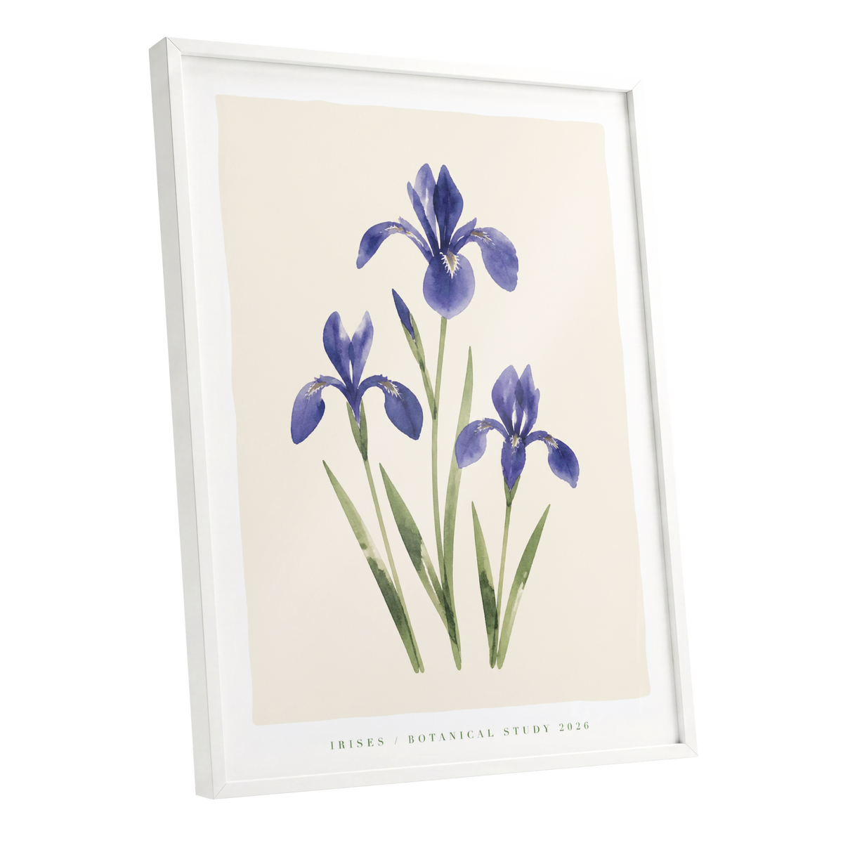 Indigo Iris Study, purple, green, beige floral wall art shown as a white framed poster wall art print
