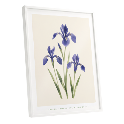 Indigo Iris Study, purple, green, beige floral wall art shown as a white framed poster wall art print