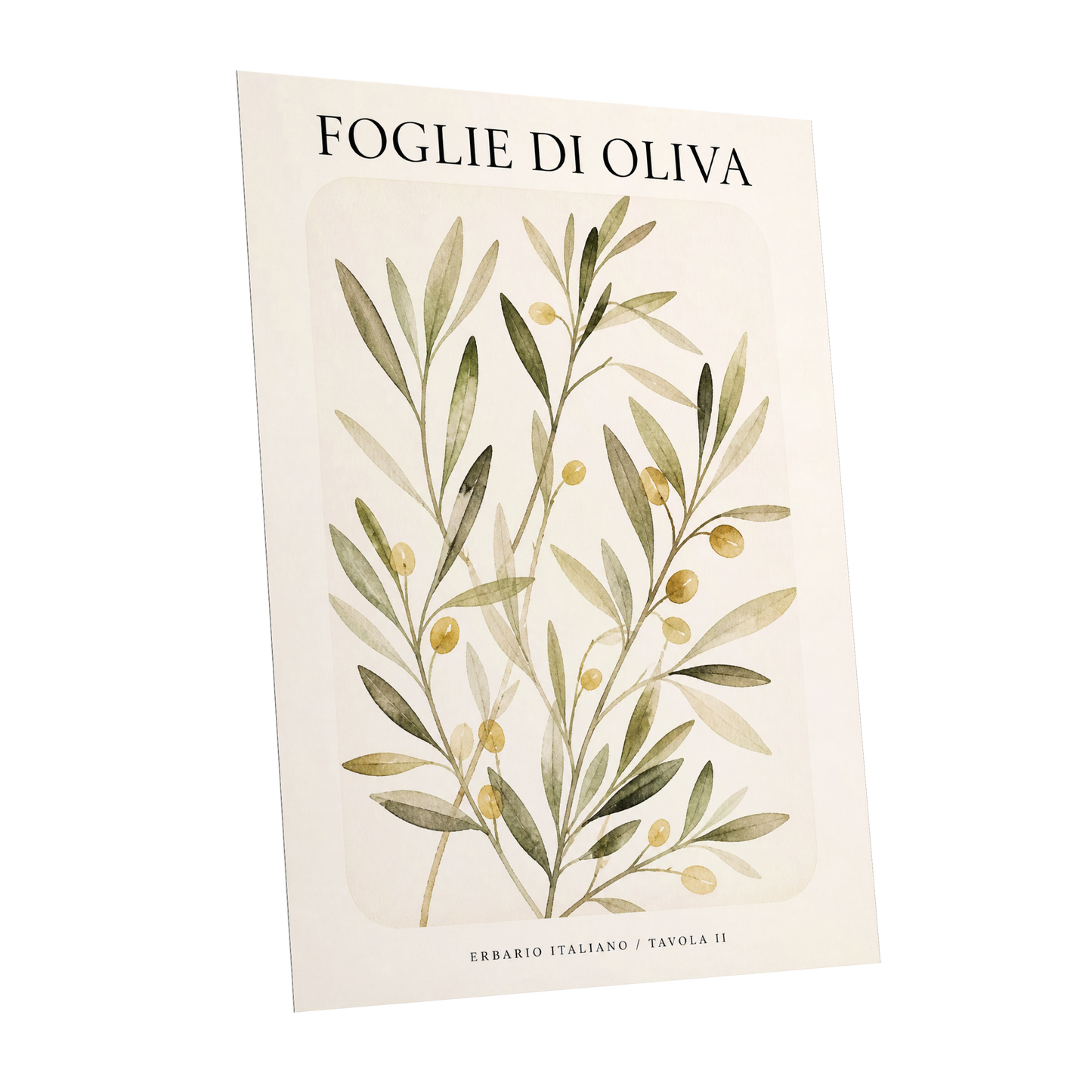 Italian Olive Study, green, beige, gold nature wall art shown as a unframed poster wall art print