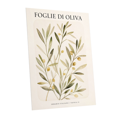 Italian Olive Study, green, beige, gold nature wall art shown as a unframed poster wall art print
