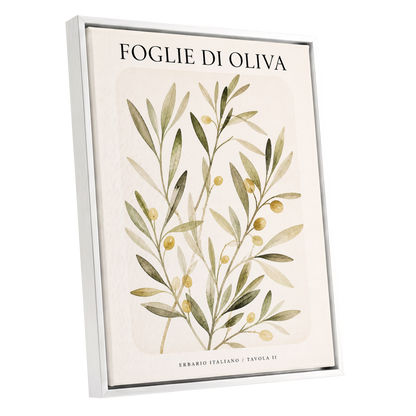 Italian Olive Study, green, beige, gold nature wall art shown as a white framed canvas wall art