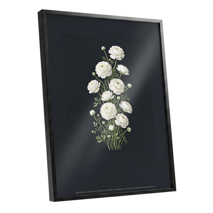 Ivory Bloom Study, black, green, white floral wall art shown as a black framed poster wall art print