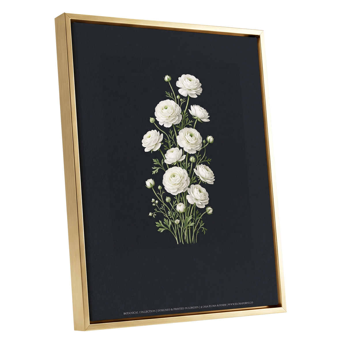 Ivory Bloom Study, black, green, white floral wall art shown as a gold framed canvas wall art