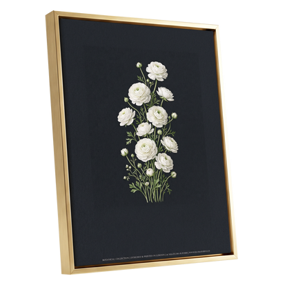 Ivory Bloom Study, black, green, white floral wall art shown as a gold framed canvas wall art