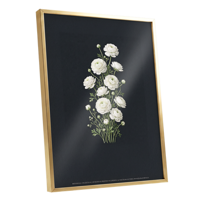 Ivory Bloom Study, black, green, white floral wall art shown as a gold framed poster wall art print