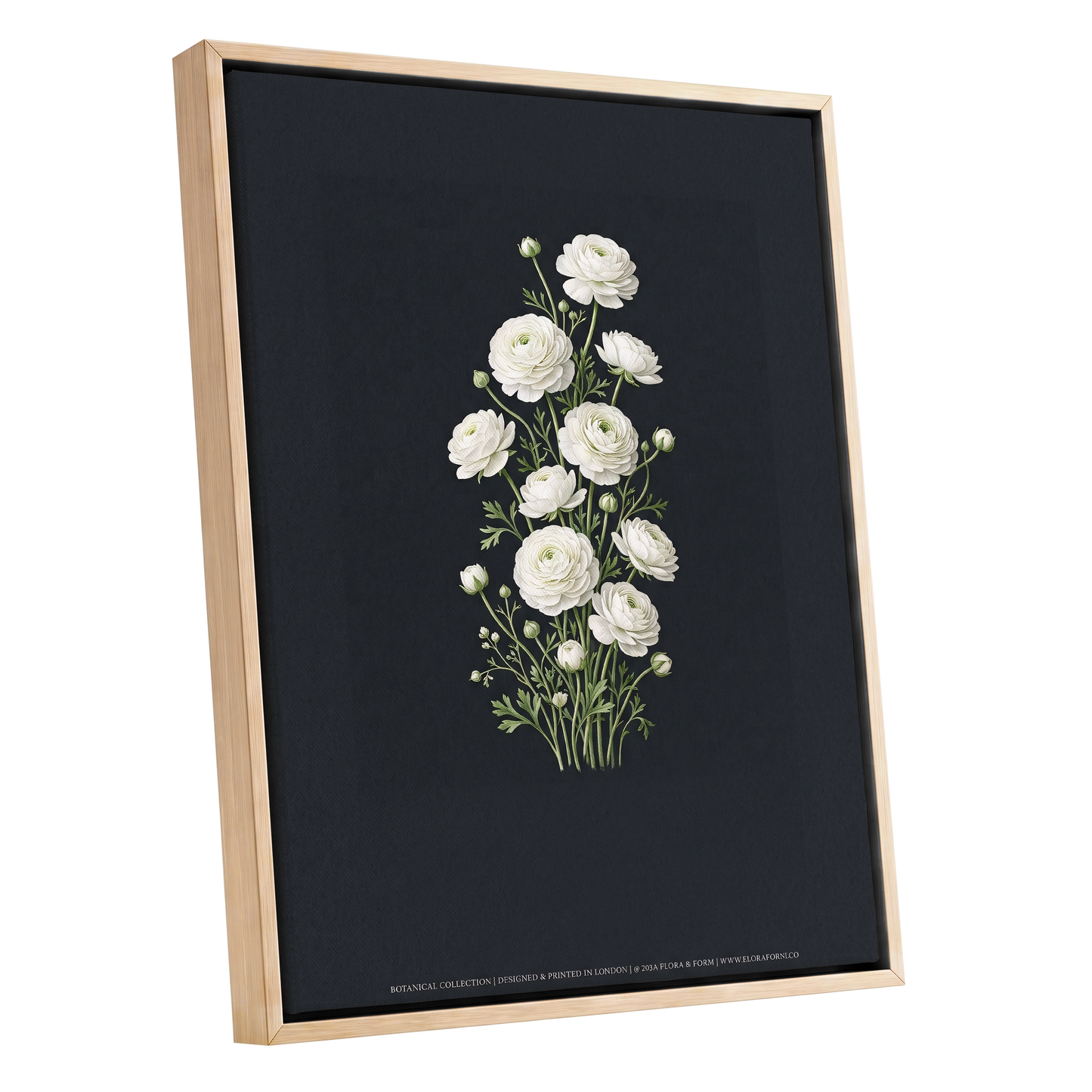 Ivory Bloom Study, black, green, white floral wall art shown as a oak framed canvas wall art