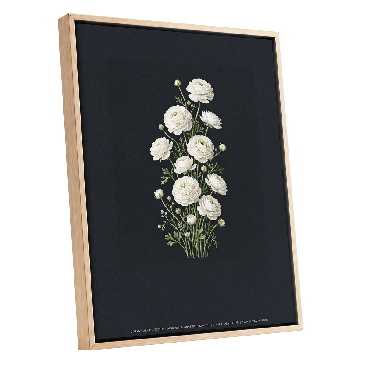 Ivory Bloom Study, black, green, white floral wall art shown as a oak framed canvas wall art