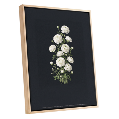 Ivory Bloom Study, black, green, white floral wall art shown as a oak framed canvas wall art