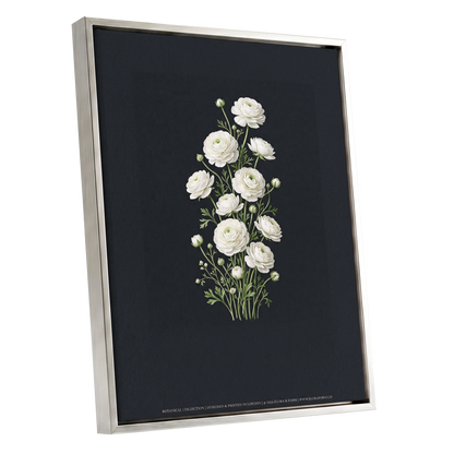 Ivory Bloom Study, black, green, white floral wall art shown as a silver framed canvas wall art