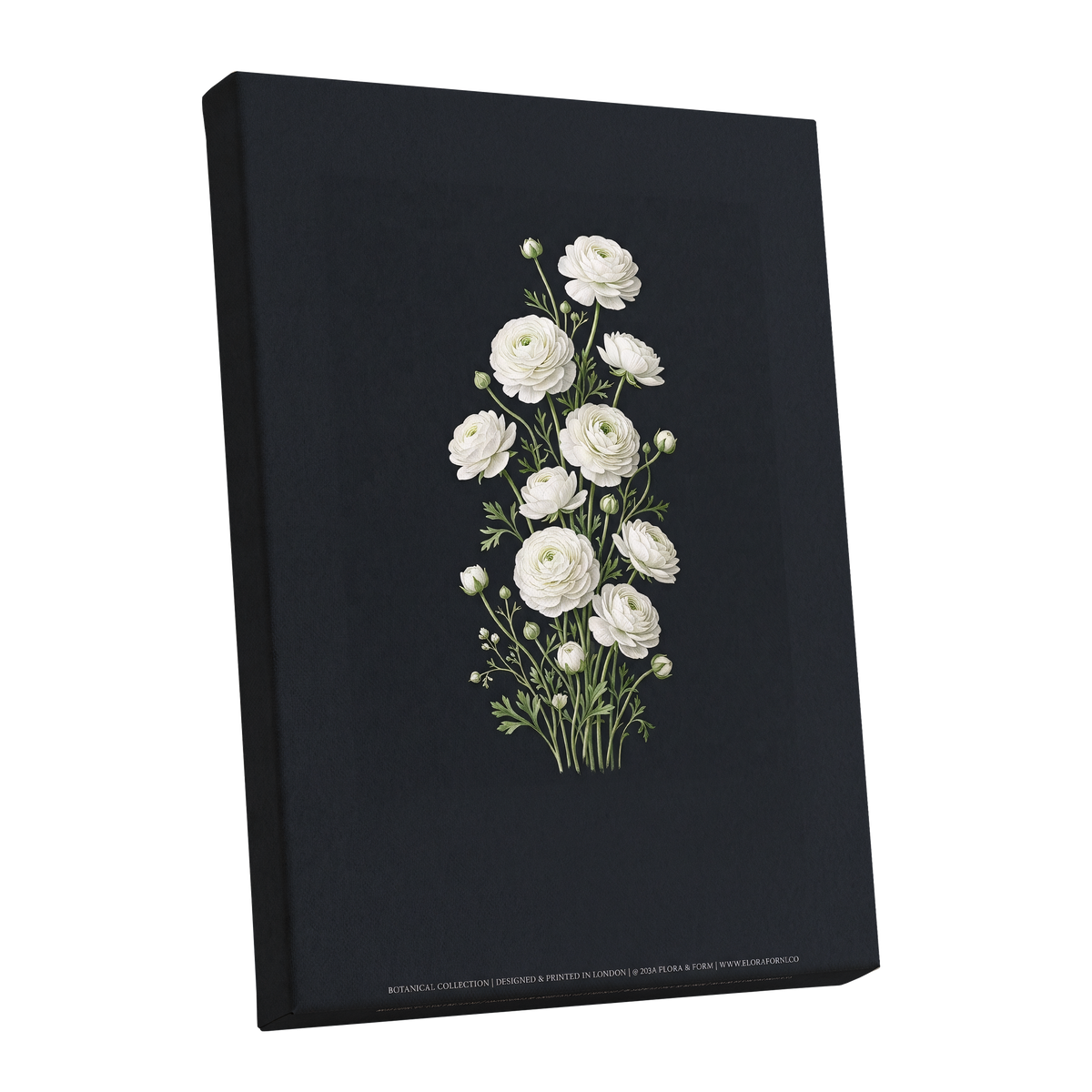 Ivory Bloom Study, black, green, white floral wall art shown as a stretched canvas wall art