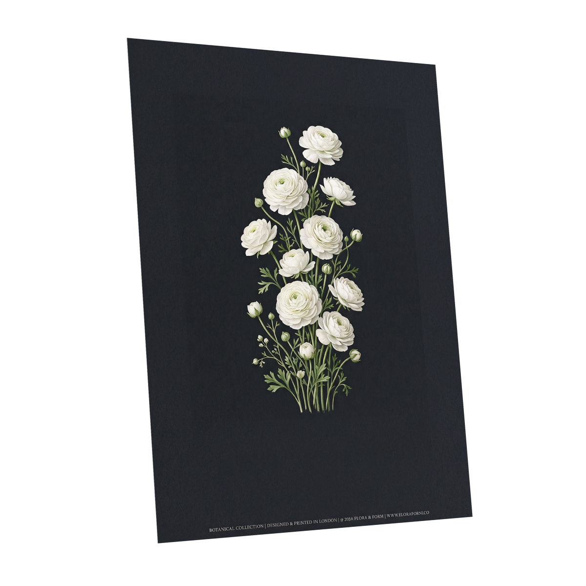 Ivory Bloom Study, black, green, white floral wall art shown as a unframed poster wall art print
