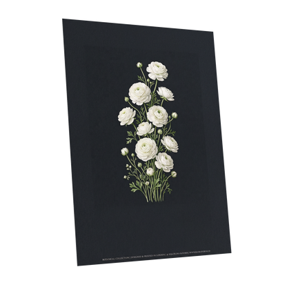 Ivory Bloom Study, black, green, white floral wall art shown as a unframed poster wall art print