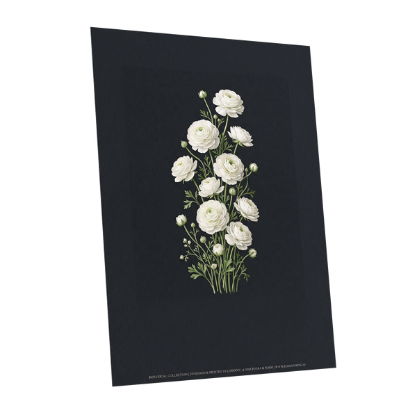 Ivory Bloom Study, black, green, white floral wall art shown as a unframed poster wall art print