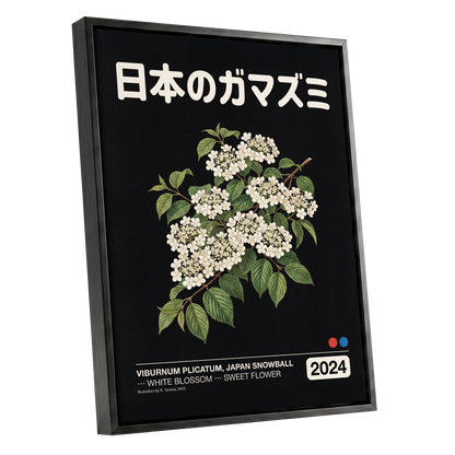 Japan Snowball Nocturne, black, green, white floral wall art shown as a black framed canvas wall art
