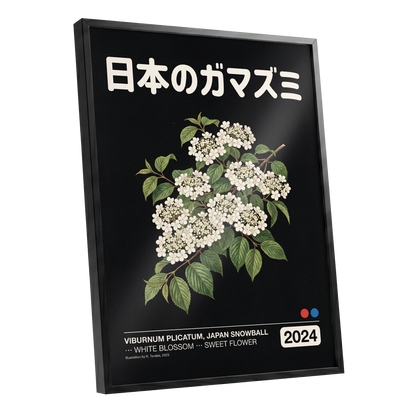 Japan Snowball Nocturne, black, green, white floral wall art shown as a black framed poster wall art print