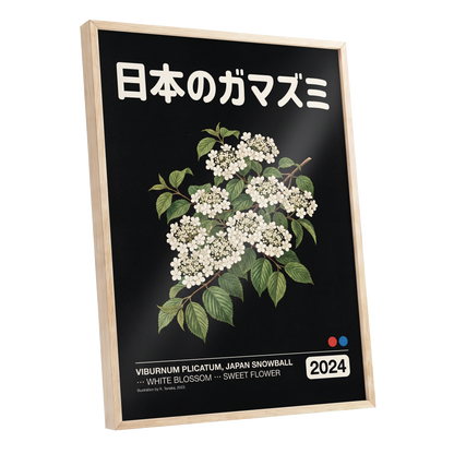 Japan Snowball Nocturne, black, green, white floral wall art shown as a oak framed poster wall art print