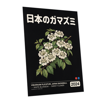 Japan Snowball Nocturne, black, green, white floral wall art shown as a unframed poster wall art print