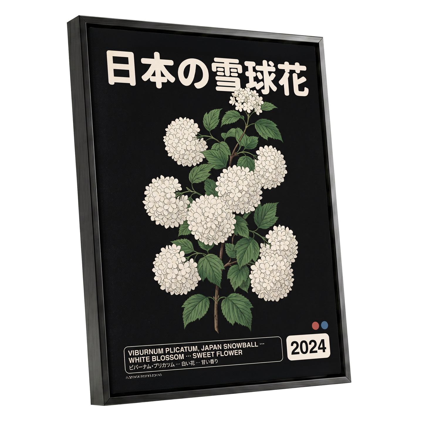 Japan Snowball Study, black, green, white floral wall art shown as a black framed canvas wall art