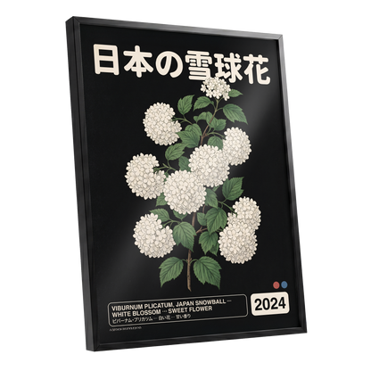 Japan Snowball Study, black, green, white floral wall art shown as a black framed poster wall art print