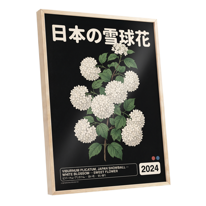 Japan Snowball Study, black, green, white floral wall art shown as a oak framed poster wall art print