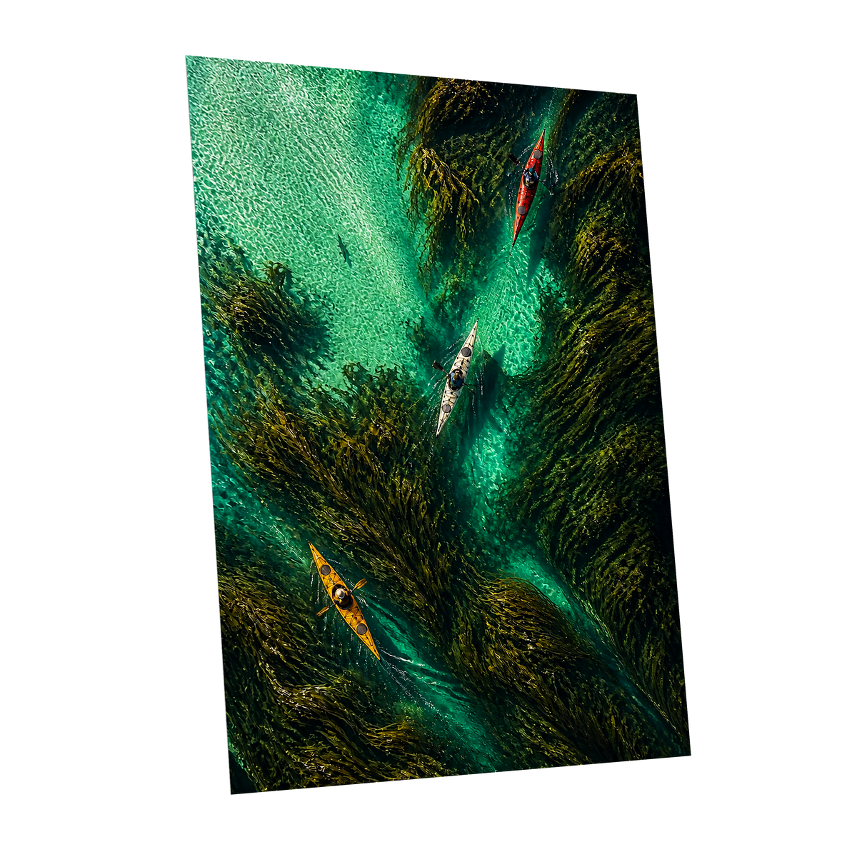 Kelpwater Passage, green, blue, black nature wall art shown as a unframed poster wall art print