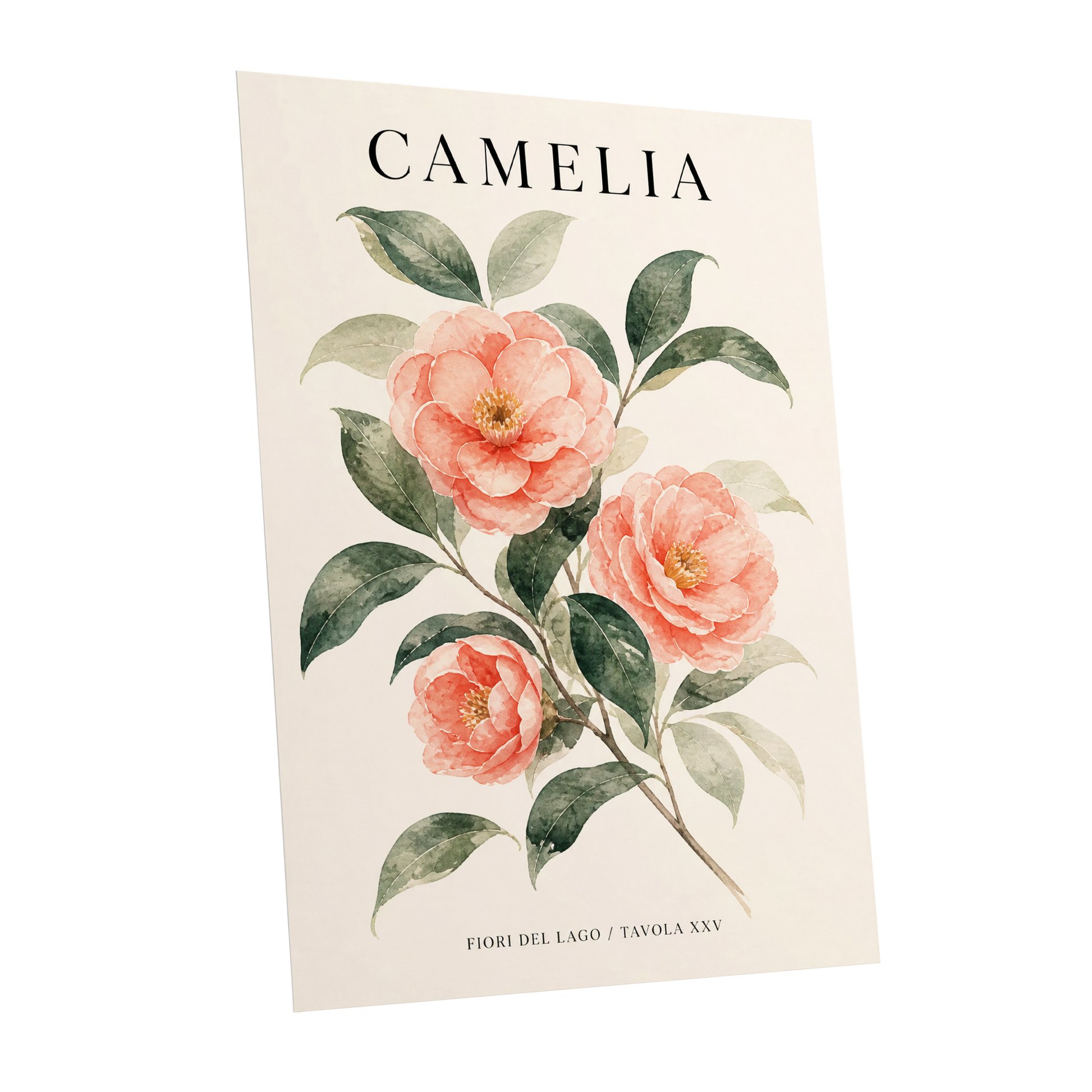 Lake Camellia Study, pink, green, beige floral wall art shown as a unframed poster wall art print