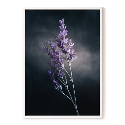 Lavender After Dark, black, purple, gray floral wall art, front artwork view