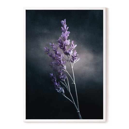 Lavender After Dark, black, purple, gray floral wall art, front artwork view