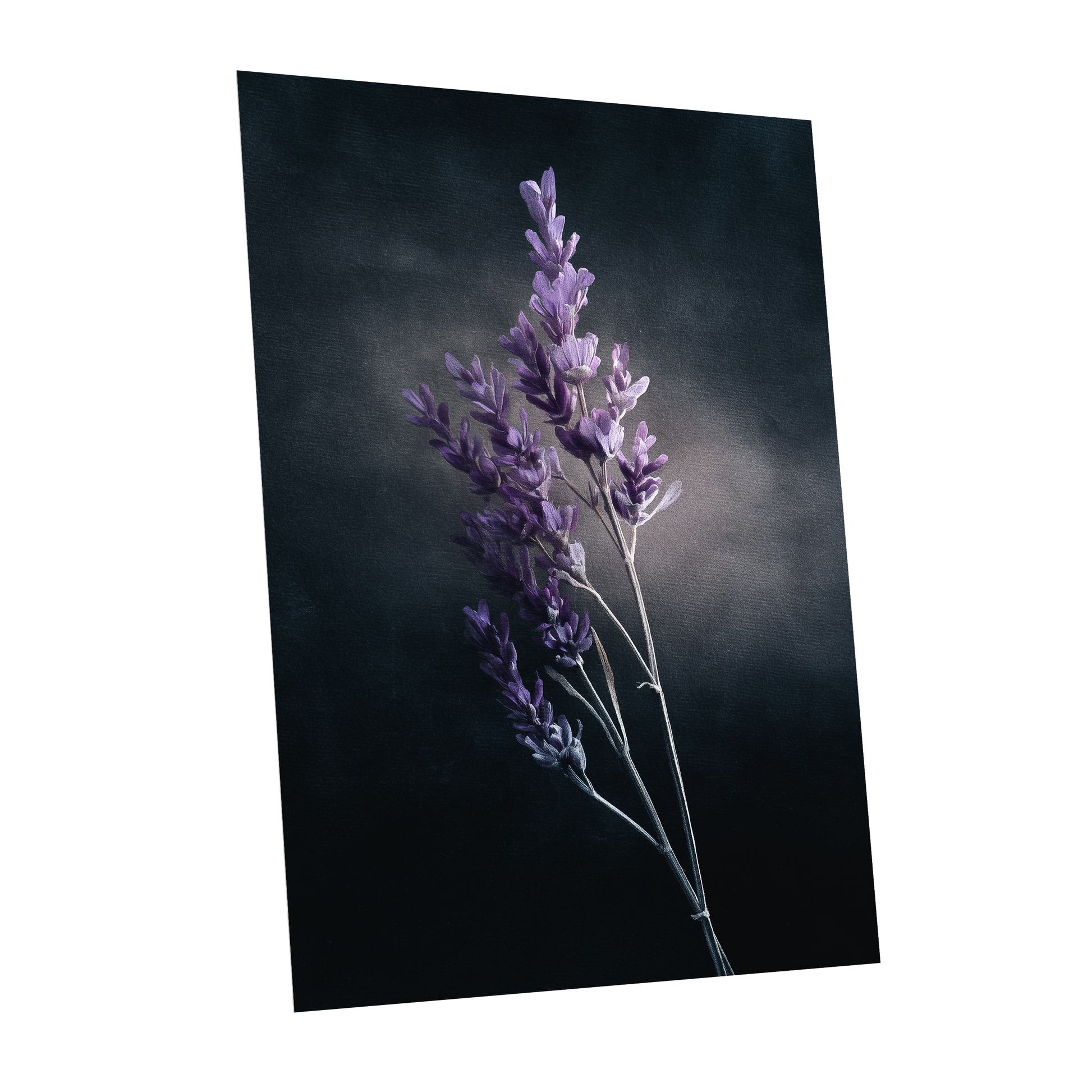 Lavender After Dark, black, purple, gray floral wall art shown as a unframed poster wall art print