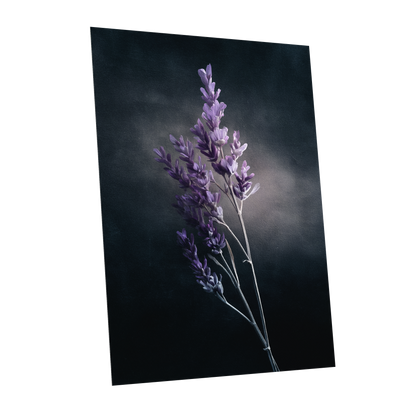 Lavender After Dark, black, purple, gray floral wall art shown as a unframed poster wall art print