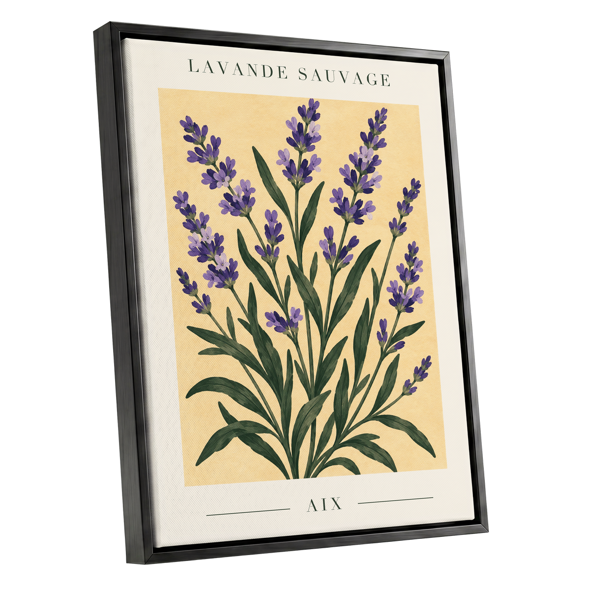 Lavender in Aix, purple, green, yellow floral wall art shown as a black framed canvas wall art
