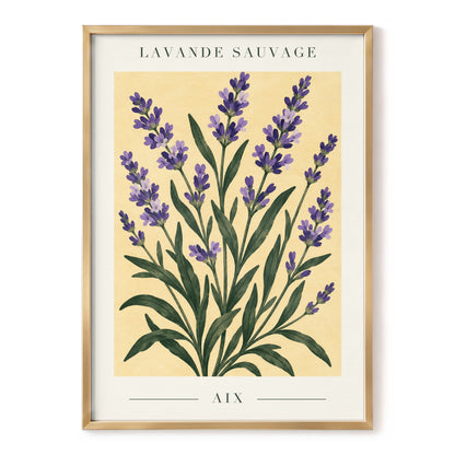 Lavender in Aix, purple, green, yellow floral wall art, front artwork view