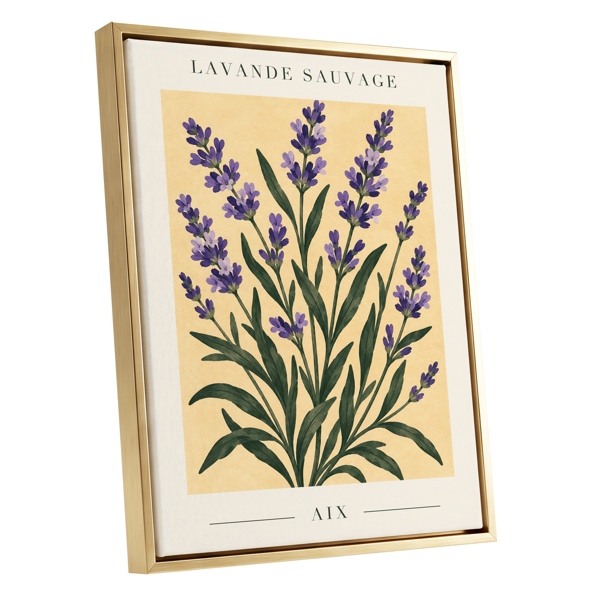 Lavender in Aix, purple, green, yellow floral wall art shown as a gold framed canvas wall art